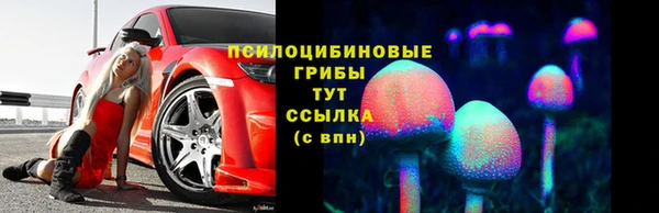 прущие крисы Надым