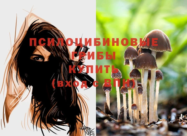 дживик Навашино