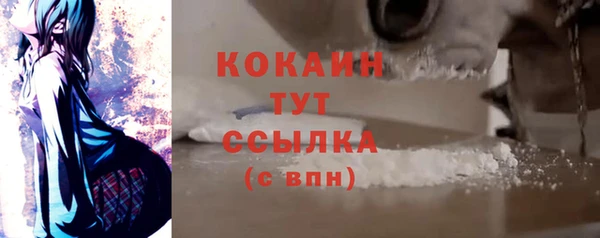 дживик Навашино