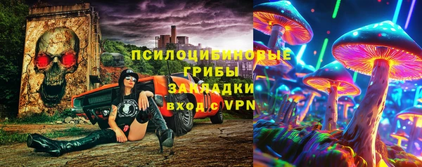 дживик Навашино